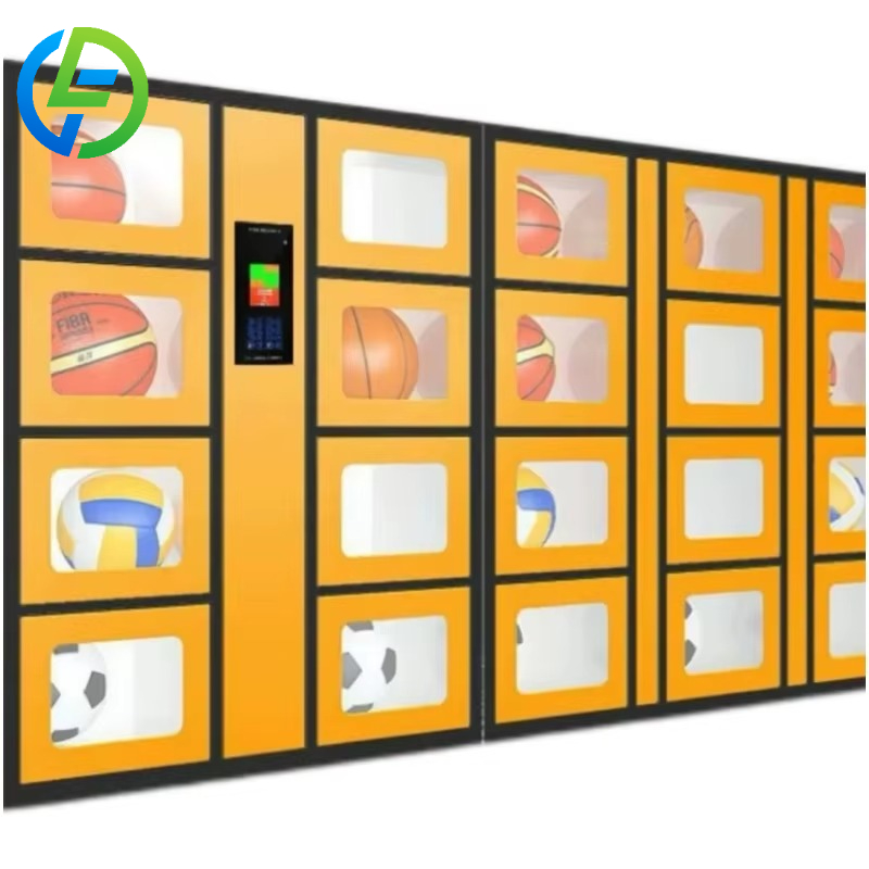 Customize 24-hour Smart Sports - Sports Equipment Locker 评论和价格